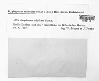 Image Associated With the Occurence
